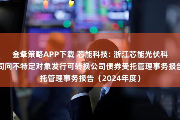 金夆策略APP下载 芯能科技: 浙江芯能光伏科技股份有限公司向不特定对象发行可转换公司债券受托管理事务报告（2024年度）