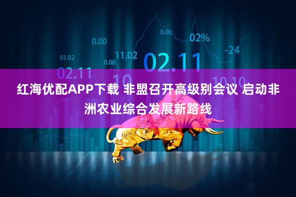 红海优配APP下载 非盟召开高级别会议 启动非洲农业综合发展新路线